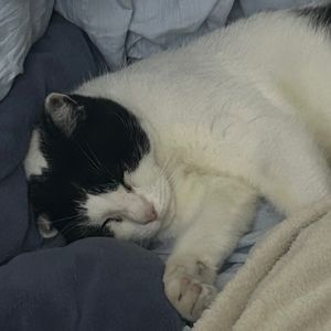 Meet your Posher, Jesse